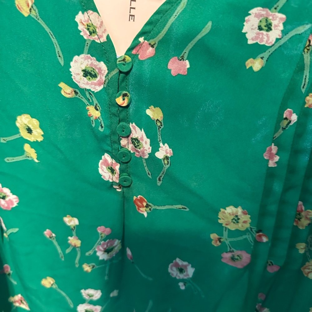 Carolina Belle Green Floral Blouse 3x BNWT - Picture 4 of 5